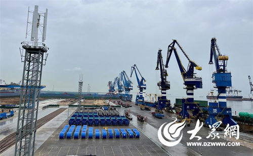 探訪煙臺(tái)港“萬能”件雜貨碼頭 以綠色力量開啟國際物流新篇章